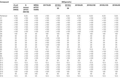 Florfenicol-Polyarginine Conjugates Exhibit Promising Antibacterial Activity Against Resistant Strains